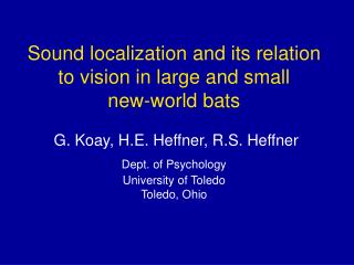 Sound localization and its relation to vision in large and small new-world bats