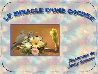 LE MIRACLE D'UNE CORDEE