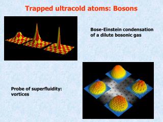 Trapped ultracold atoms: Bosons