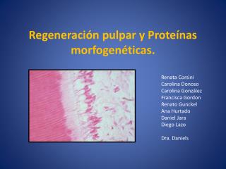 Regeneración pulpar y Proteínas morfogenéticas.