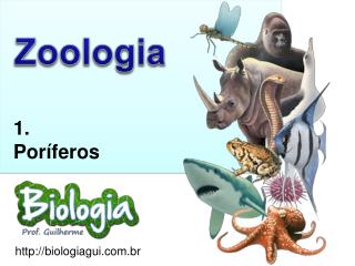 biologiagui.br