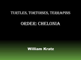 Turtles, Tortoises, Terrapins Order: Chelonia