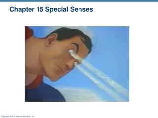 Chapter 15 Special Senses