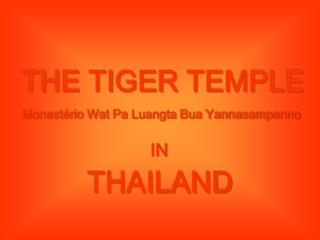 THE TIGER TEMPLE