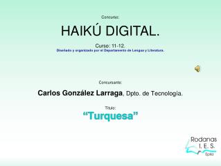 Concursante: Carlos González Larraga , Dpto. de Tecnología. Título: “Turquesa”