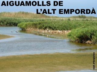 AIGUAMOLLS DE L’ALT EMPORDÀ