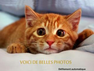 VOICI DE BELLES PHOTOS