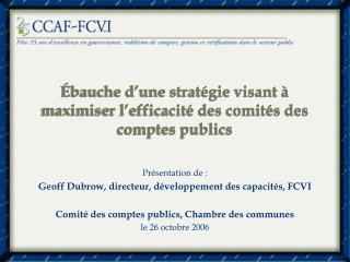 Ébauche d’une stratégie visant à maximiser l’efficacité des comités des comptes publics