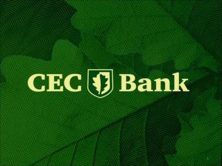 Solutii creditare I.M.M. -uri Oferta CEC Bank de produse si servicii dedicate