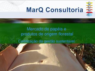 Mercado de papéis e produtos de origem florestal