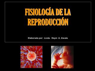 FISIOLOGÍA DE LA REPRODUCCIÓN