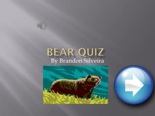Bear quiz