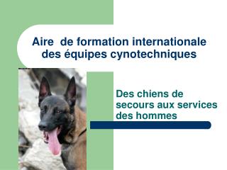 Aire de formation internationale des équipes cynotechniques