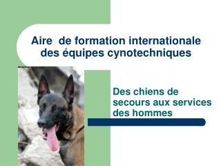 Aire de formation internationale des équipes cynotechniques