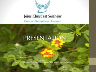 PRESENTATION