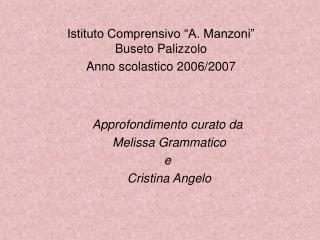 Istituto Comprensivo “A. Manzoni” Buseto Palizzolo Anno scolastico 2006/2007