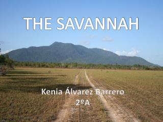 THE SAVANNAH