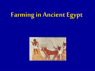 Farming in Ancient Egypt