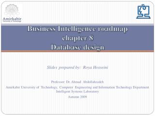 Business Intelligence roadmap chapter 8 Database design