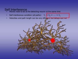 Self Interference