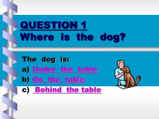 QUESTION 1 Where is the dog?