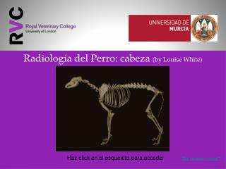 Radiología del Perro: cabeza (by Louise White)