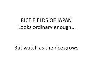 RICE FIELDS OF JAPAN  Looks ordinary enough... But watch as the rice grows.