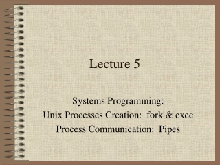 Lecture 5