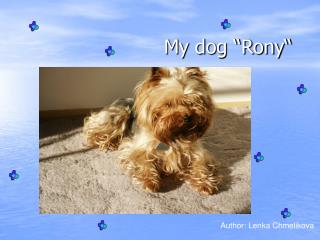 My dog “Rony“