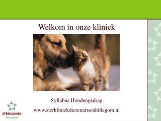 Welkom in onze kliniek