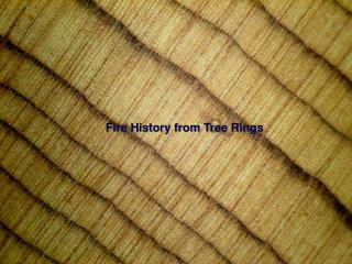 Fire History from Tree Rings