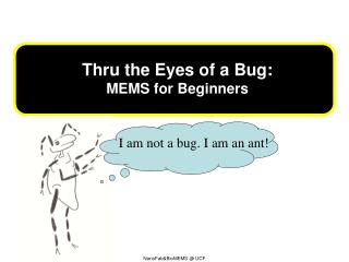 T hru the Eyes of a Bug : MEMS for Beginners