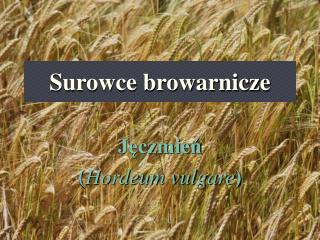 Surowce browarnicze