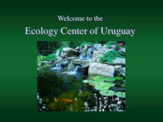 Welcome to the Ecology Center of Uruguay