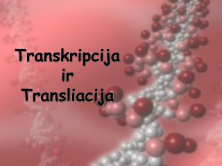 Transkripcija ir Transliacija