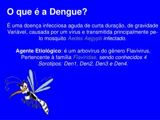 O que é a Dengue?