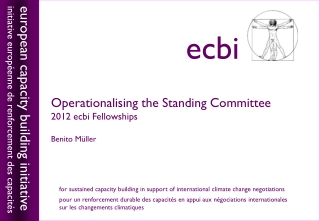 Operationalising the Standing Committee 2012 ecbi Fellowships Benito M üller