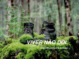VIVER NÃO DÓI (Carlos Drummond de Andrade)