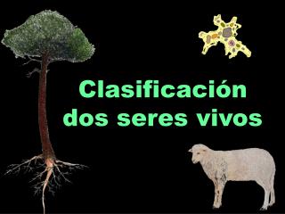 Clasificación dos seres vivos