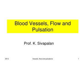 Blood Vessels, Flow and Pulsation