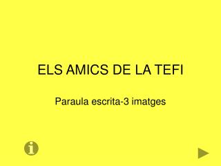 ELS AMICS DE LA TEFI