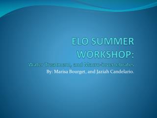 ELO SUMMER WORKSHOP: Water Treatment, and Macro-invertebrates