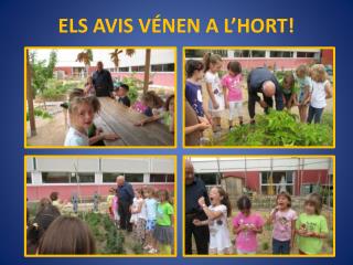 ELS AVIS VÉNEN A L’HORT!