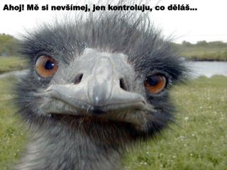 Ahoj! Mě si nevšímej, jen kontroluju, co děláš...