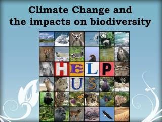 Climate Change and the impacts on biodiversity