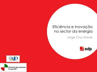 Eficiência e Inovação no sector da energia Jorge Cruz Morais
