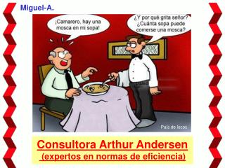 Consultora Arthur Andersen (expertos en normas de eficiencia)