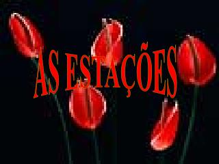 AS ESTAÇÕES