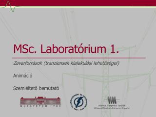 MSc . Laboratórium 1.