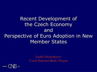 Recent Development of the Czech Economy and Perspective of Euro Adoption in New Member States